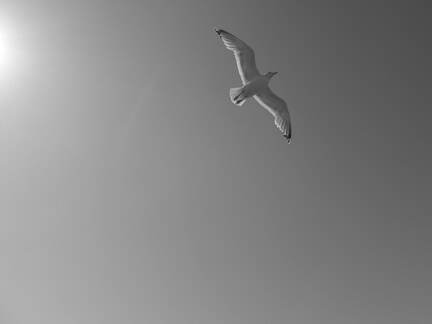20110529 161506